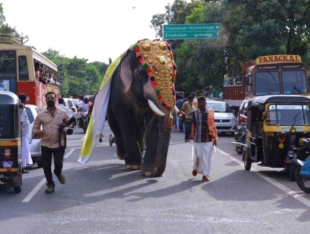 best wedding planner in Kerala